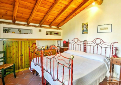 Bed And Breakfast La Casa Del Ficus